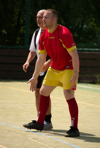 robin
